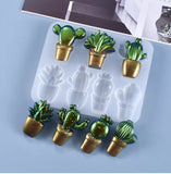 Succulents / Cactus