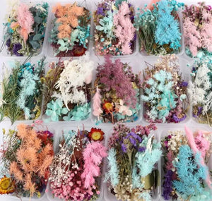 Dried Flowers (random assortment/colors)
